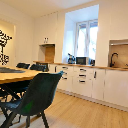 Luxurious & Spacious Residence In The Heart Of 布拉索夫 外观 照片