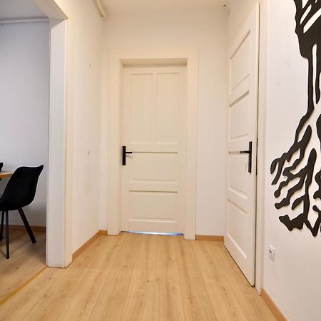 Luxurious & Spacious Residence In The Heart Of 布拉索夫 外观 照片